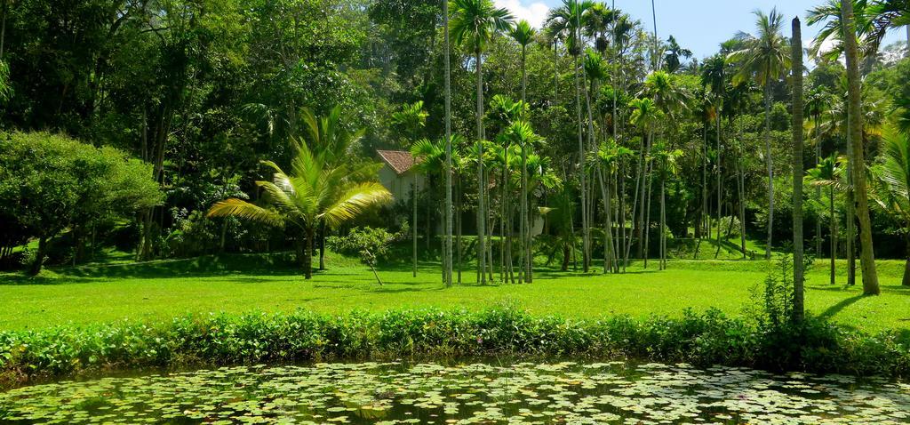 Siri Wedamadura Villa Mirissa Kamer foto