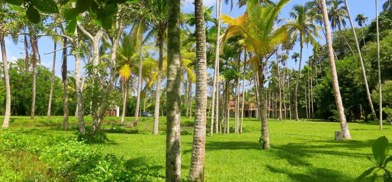 Siri Wedamadura Villa Mirissa Kamer foto